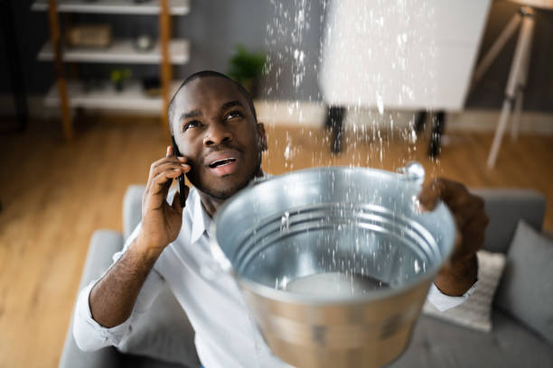 Best Water damage restoration near me  in White Pine, TN