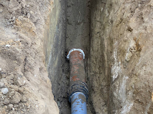 Best Flood damage cleanup  in White Pine, TN