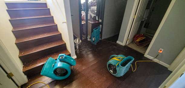 Best 24/7 water damage repair  in White Pine, TN