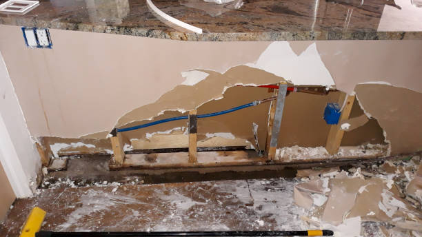 Best Sewage cleanup and water damage restoration  in White Pine, TN