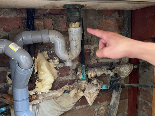 Best Ceiling water damage repair  in White Pine, TN